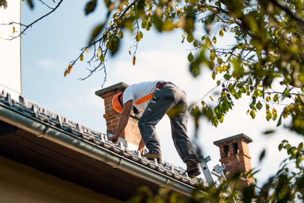 Best Roof Moss and Algae Removal  in Ina, IL