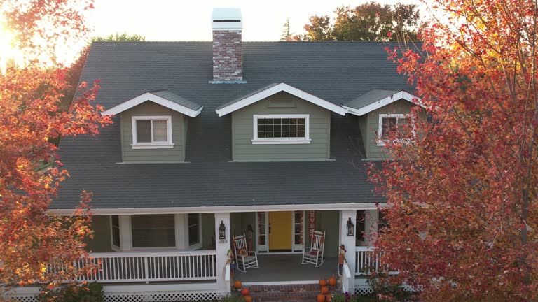 Best Slate Roofing  in Ina, IL