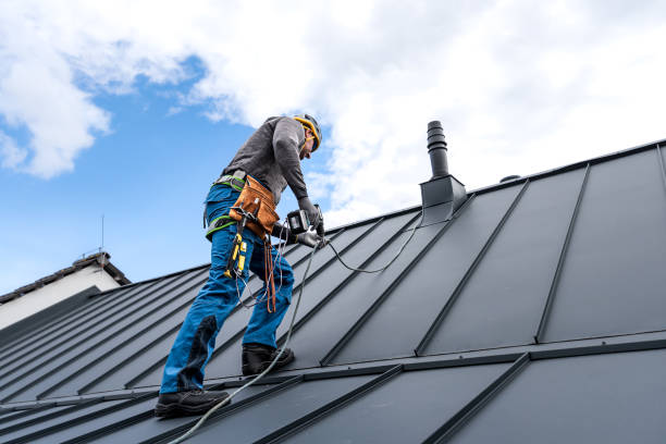 Best Solar Panel Roofing Installation  in Ina, IL