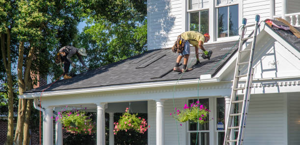 Best Storm Damage Roof Repair  in Ina, IL